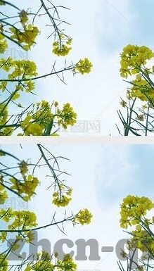 日韩av免费无码一区-探索成人娱乐的边界，日韩AV免费无码一区的多元视角