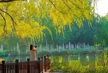 亚洲av午夜精品麻豆-探索当夜与晨光交织的影子——午夜文化下的艺术多样